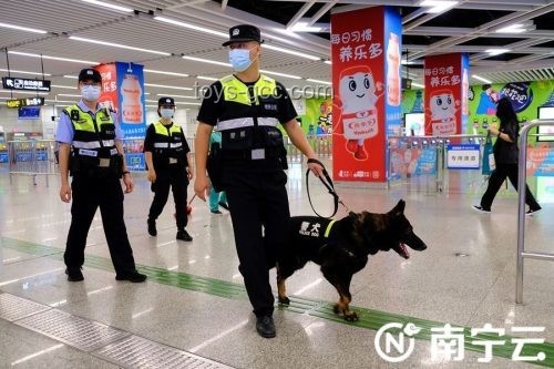 教育新趋势：顶尖学子从教后再战高考，启迪未来教育变革
